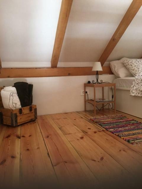 Dream House Villa Zaglav ภายนอก รูปภาพ